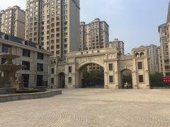 官方爆料枫丹实景图片视频,官方爆料图片视频带你领略绝美风光