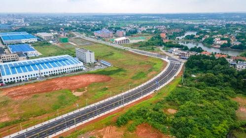 开封金城大道最新爆料,繁华地段焕新升级，未来交通枢纽瞩目”